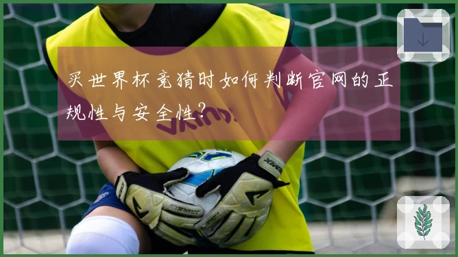 买世界杯竞猜时如何判断官网的正规性与安全性?